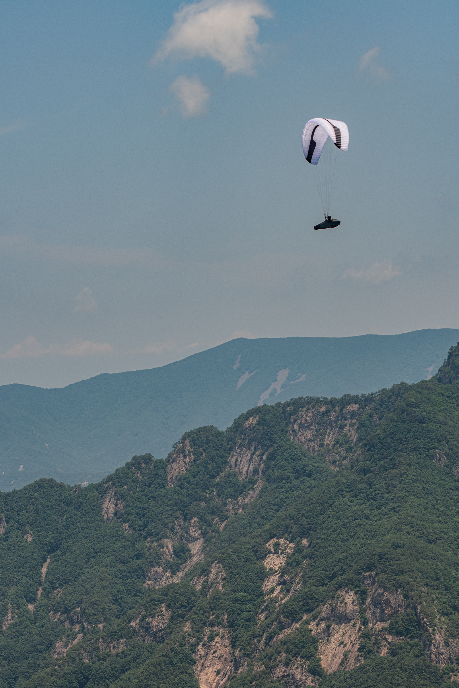 DSC_4935-1.jpg