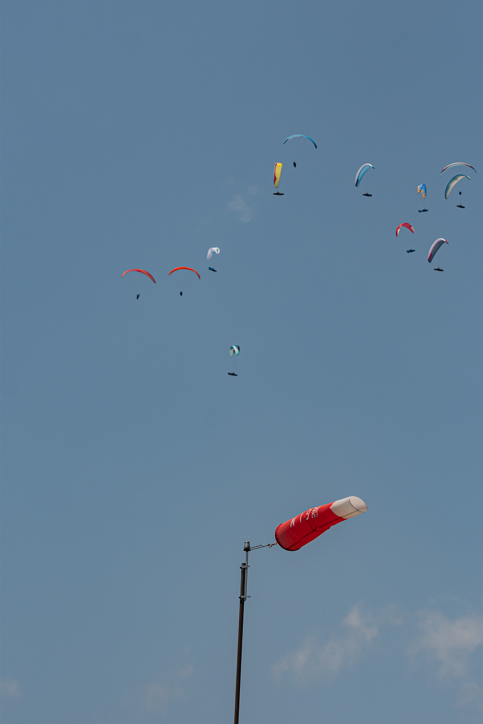 DSC_5103-1.jpg