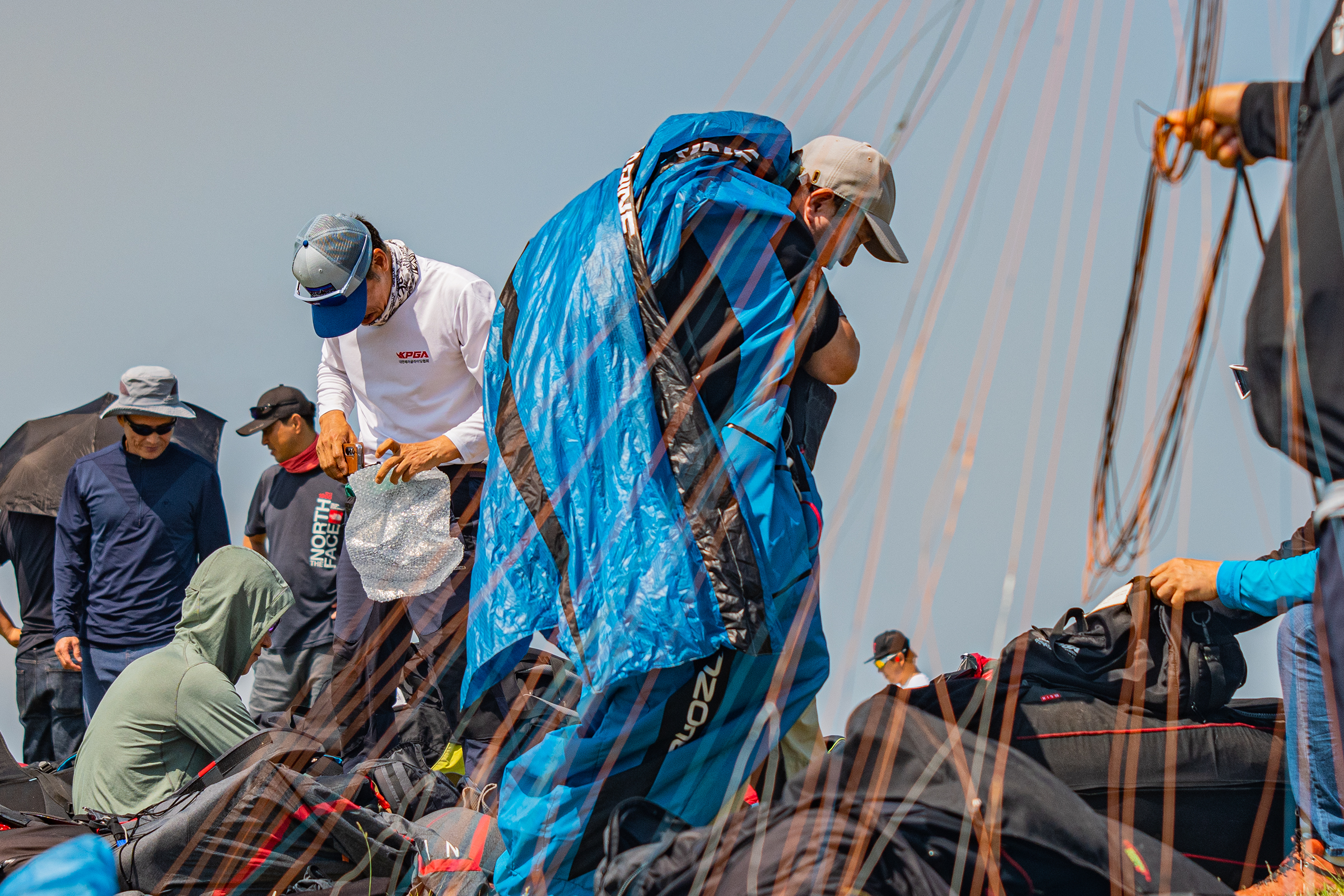 DSC_4732-1.jpg