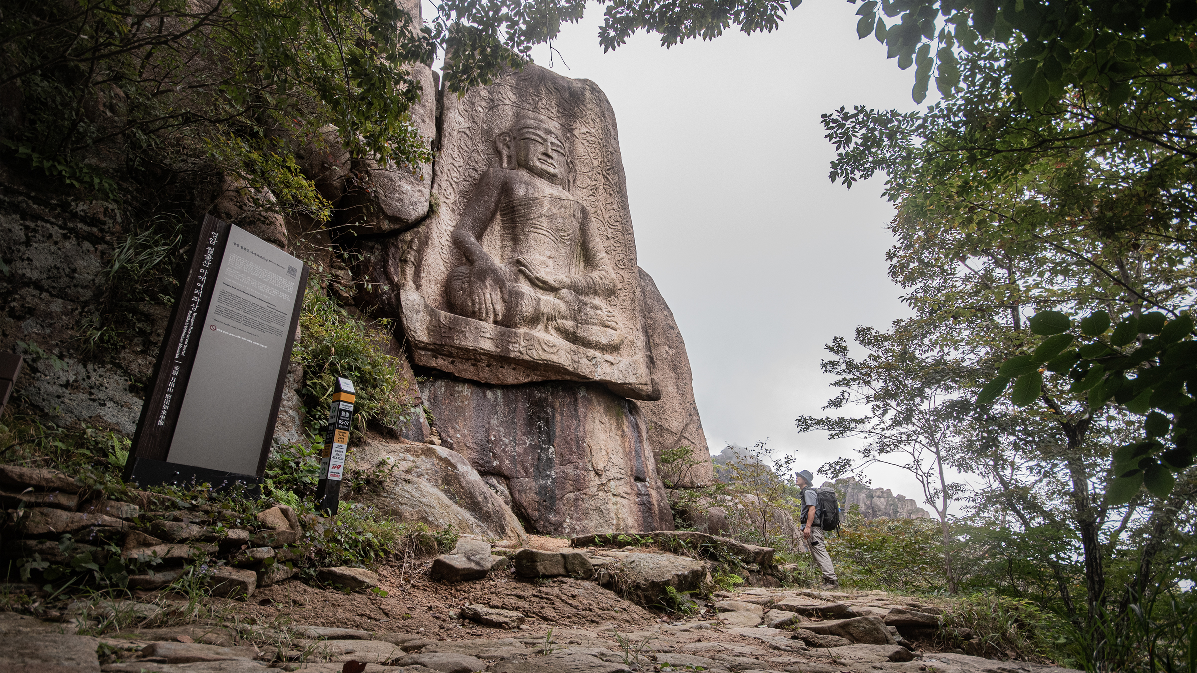 DSC_7206-1.jpg