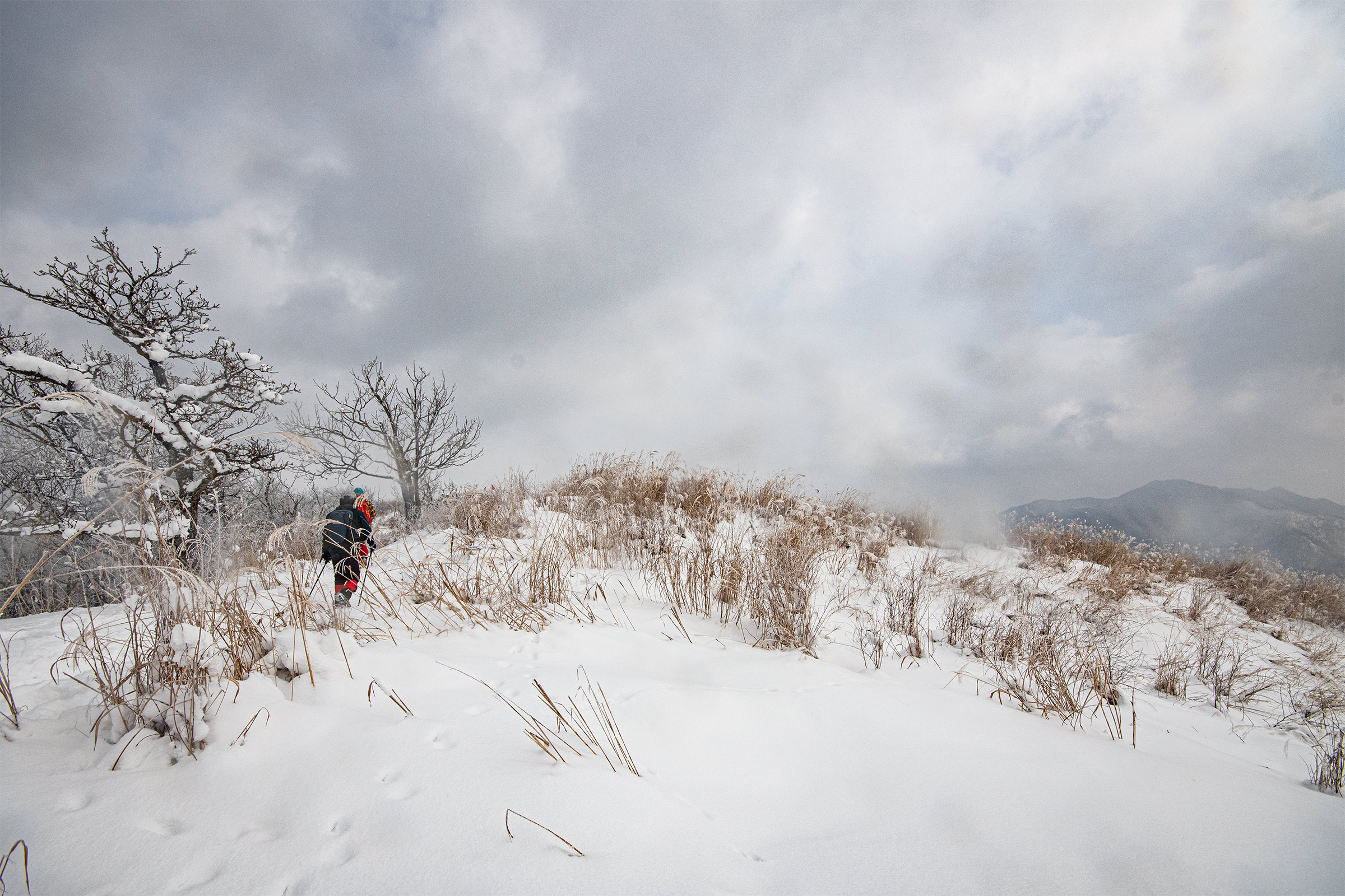 DSC_9834-1.jpg