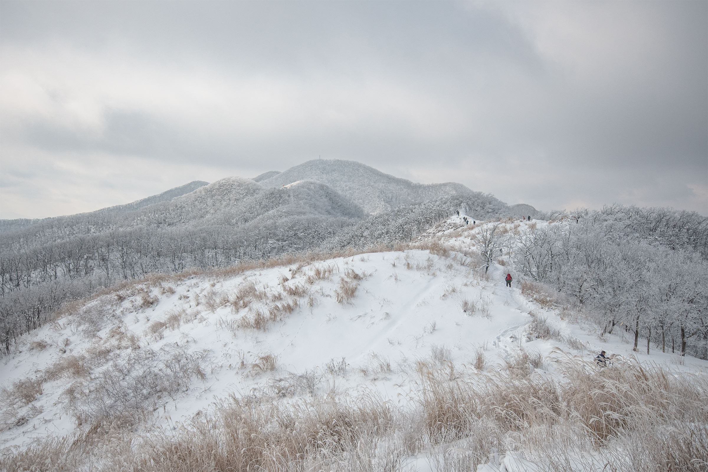 DSC_9620-1.jpg