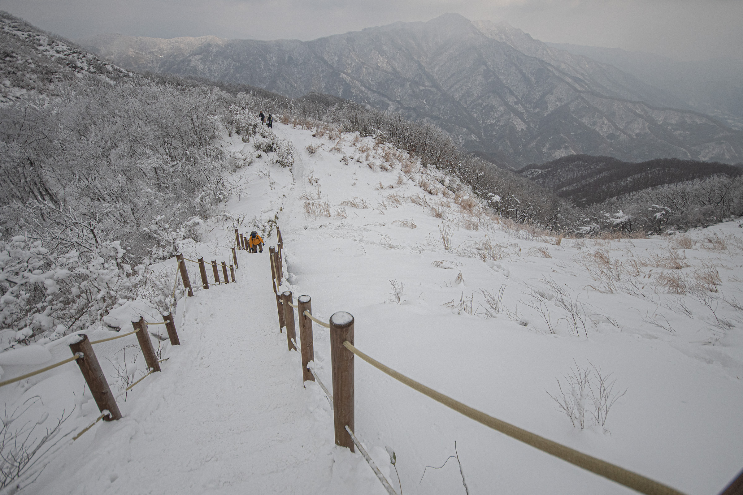 DSC_9749-1.jpg
