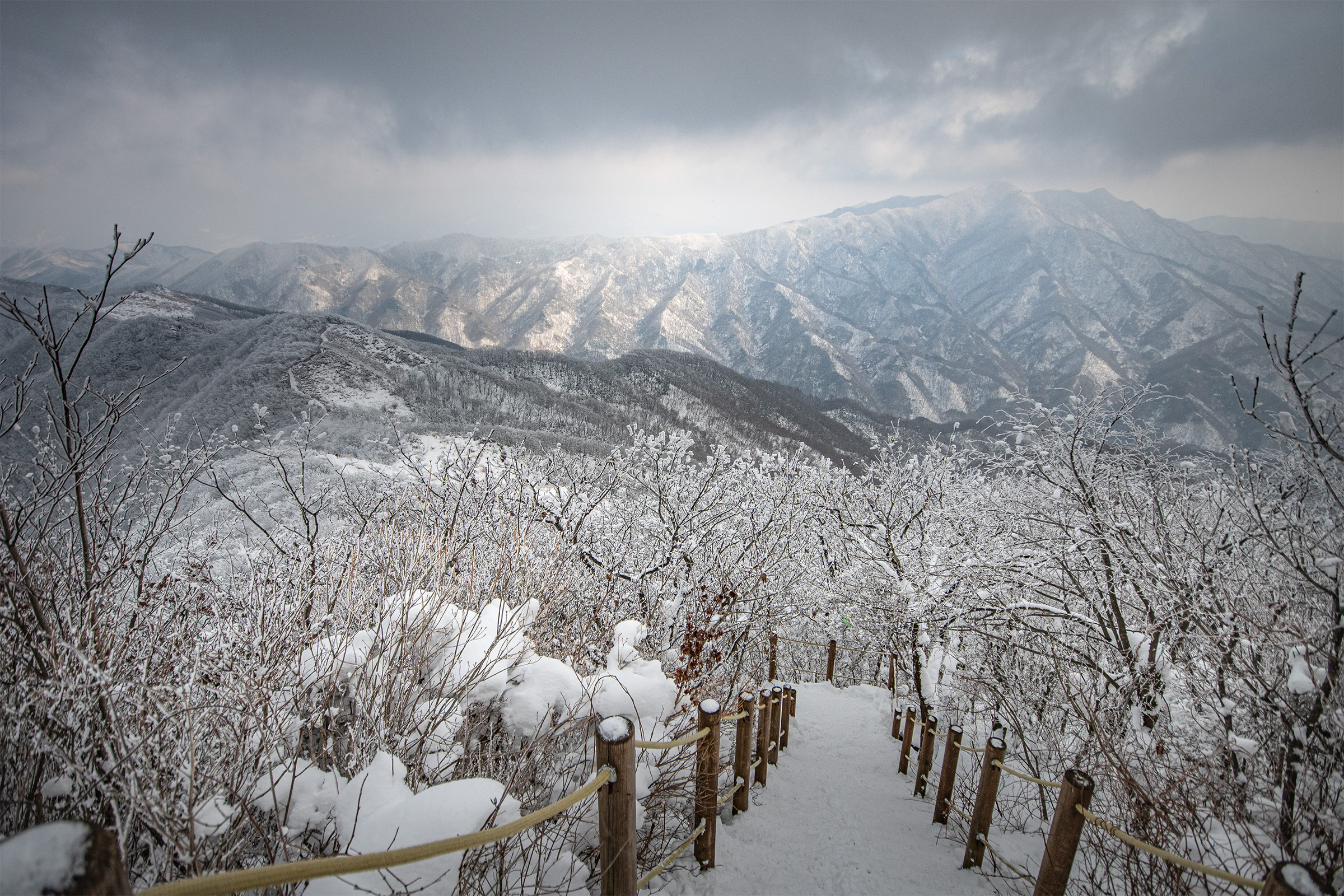 DSC_9744-1.jpg