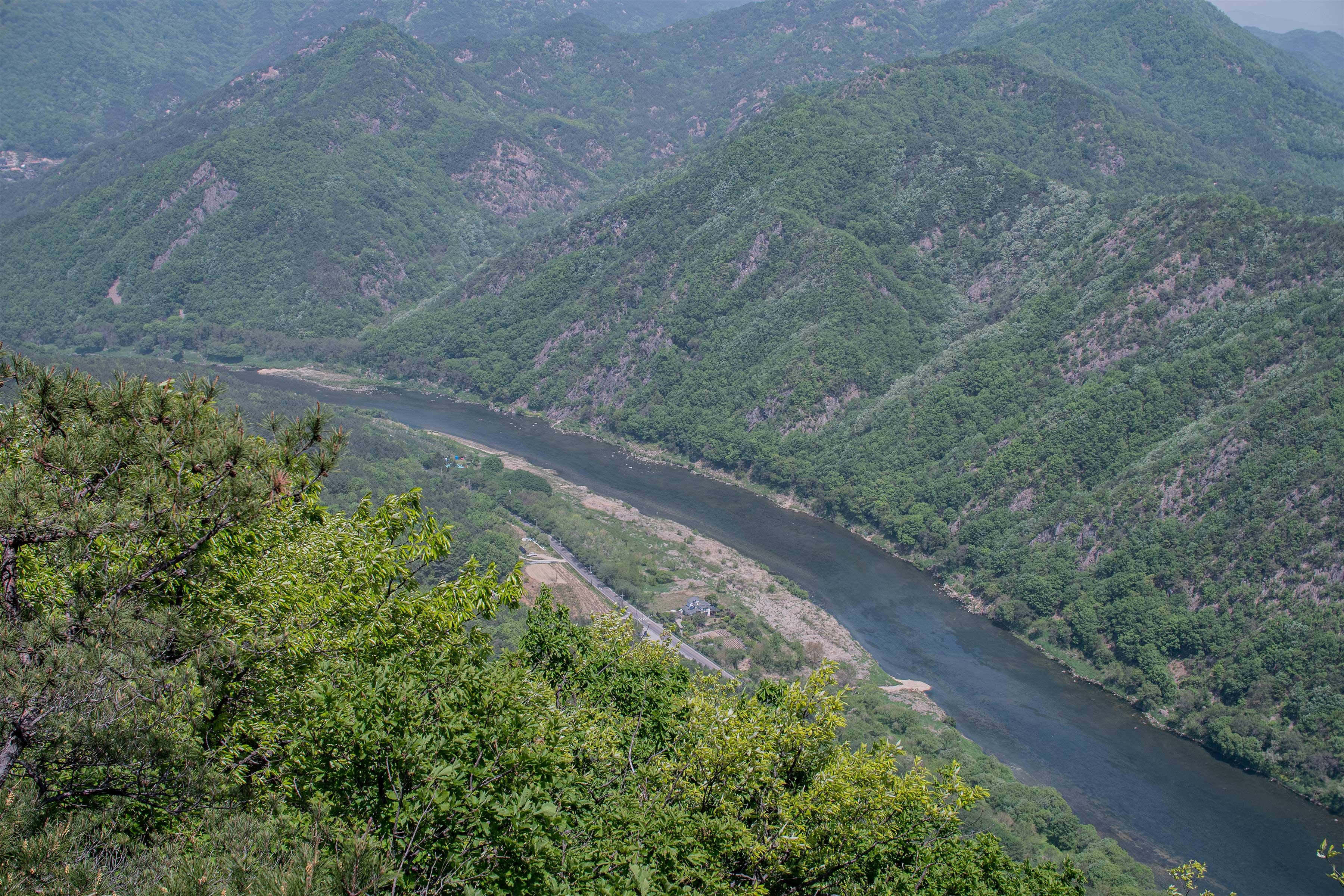 DSC_4786-1.jpg