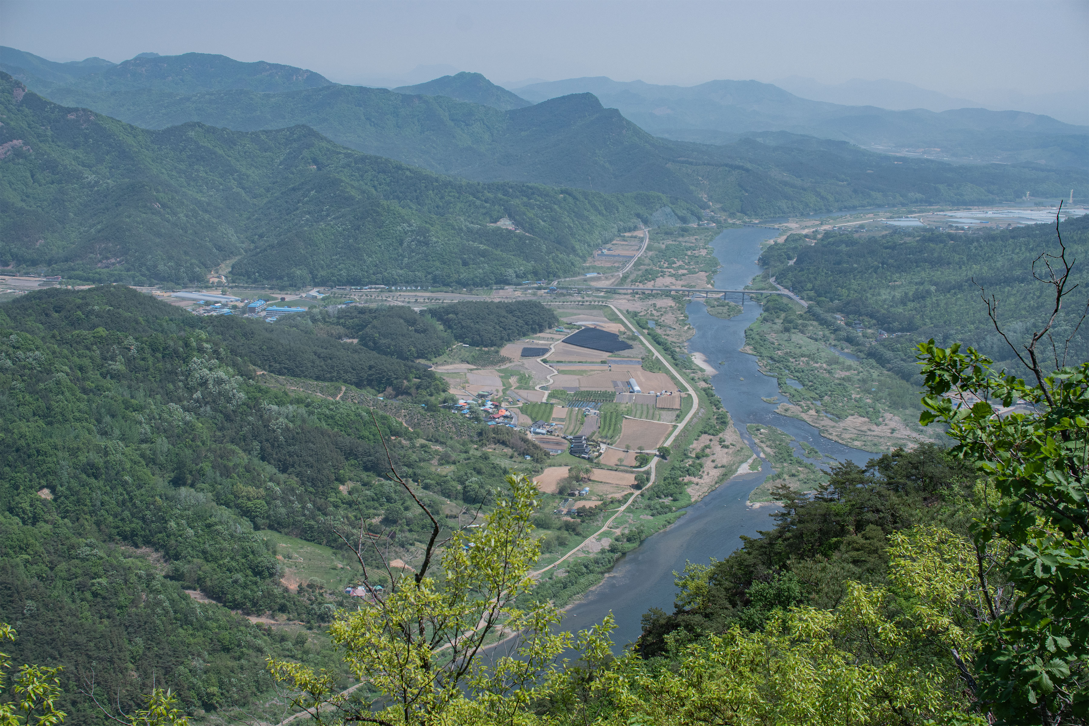 DSC_4785-1.jpg
