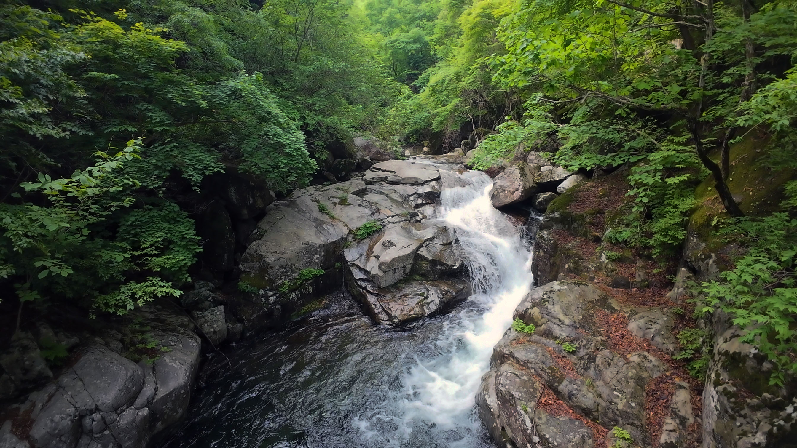 DJI_20260523093345_0031_D.jpg