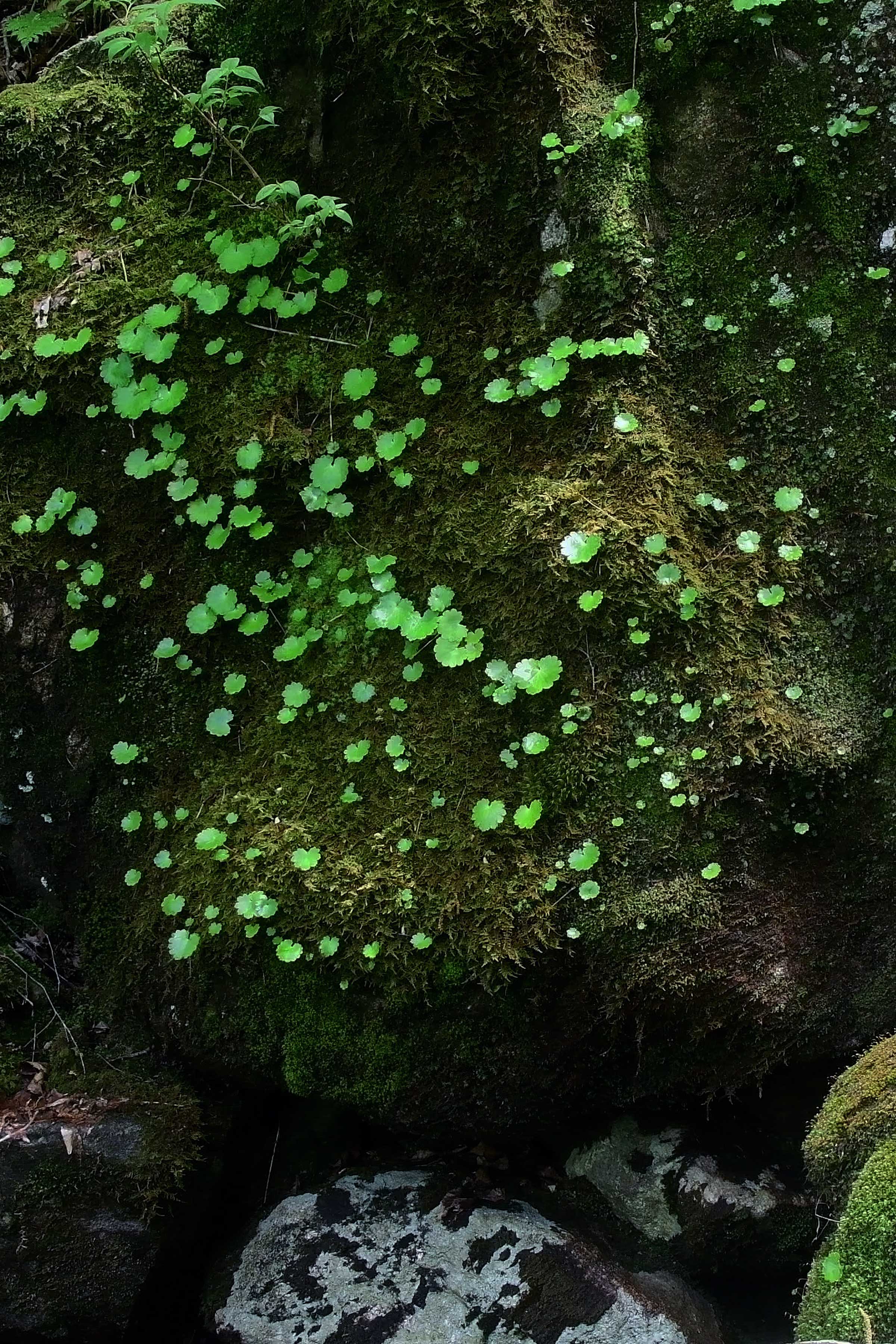DSC_5959.jpg