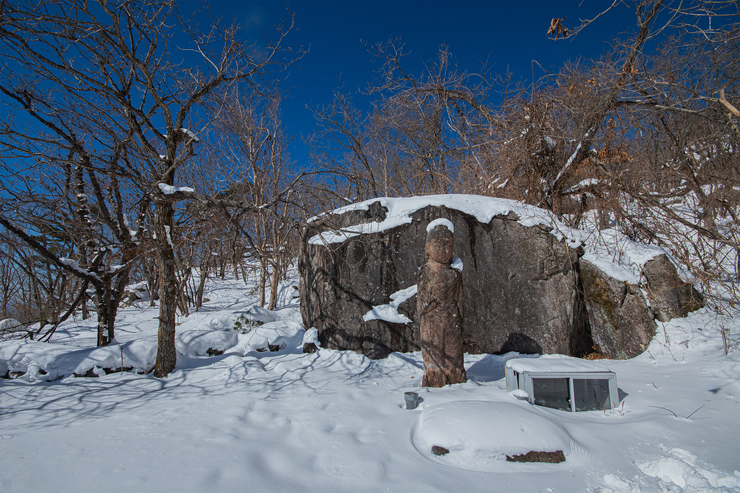 DSC_1687-1.jpg
